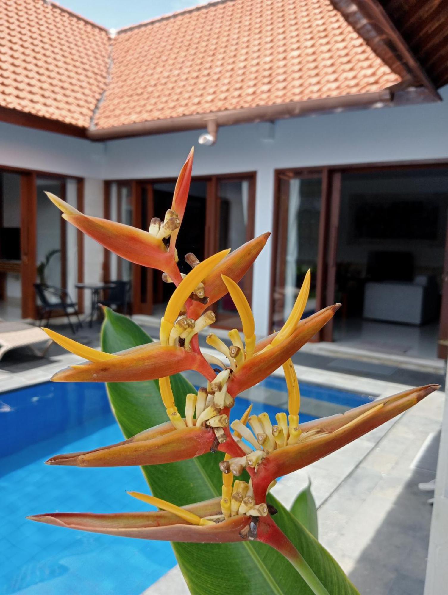 Pondok Indah Villa Ujung Exteriér fotografie